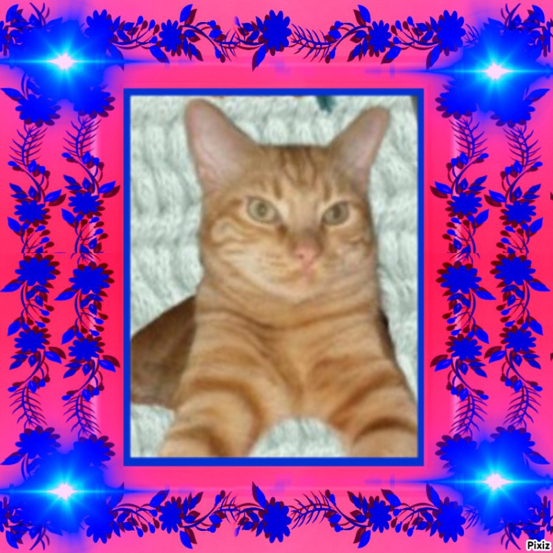 thebugster08 uploaded   91  day/s  ago