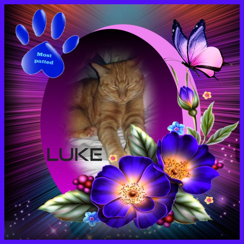 thebugster08 uploaded   91  day/s  ago