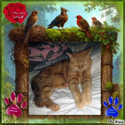 thebugster08 uploaded   93  day/s  ago