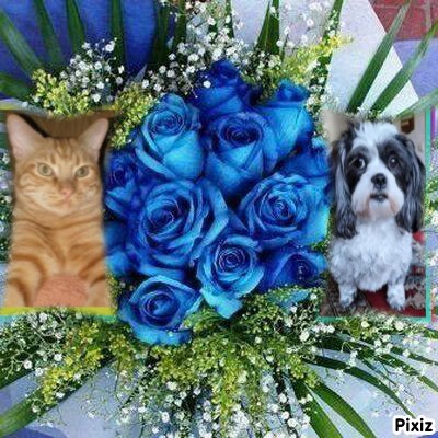 Luke of the thebugster08 family