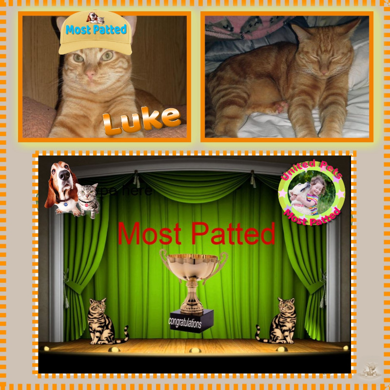 thebugster08 uploaded   86  day/s  ago