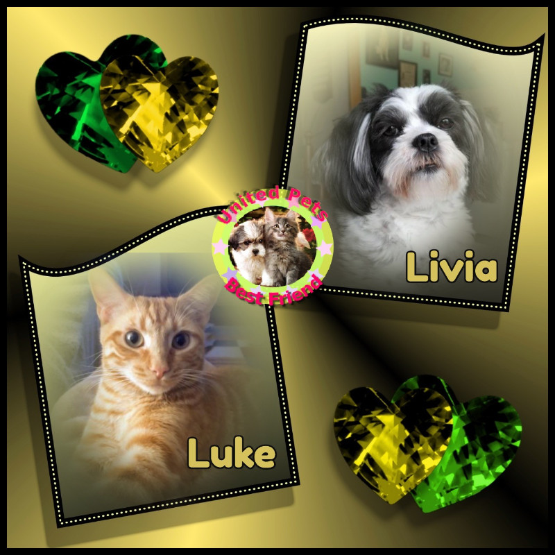 Luke of the thebugster08 family