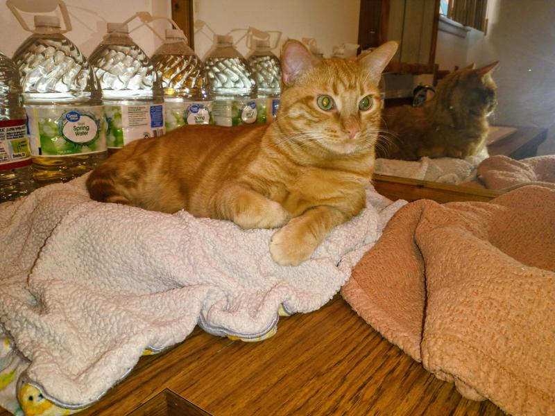 thebugster08 uploaded   3  day/s  ago