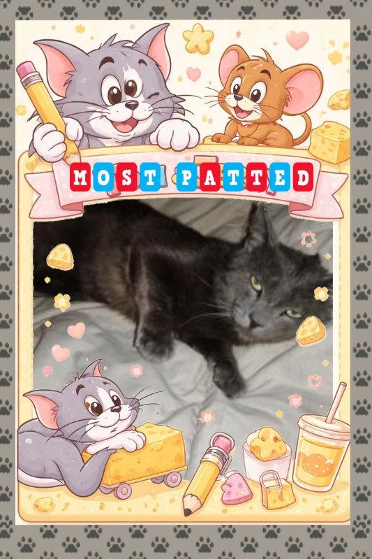 thebugster08 uploaded   28  day/s  ago