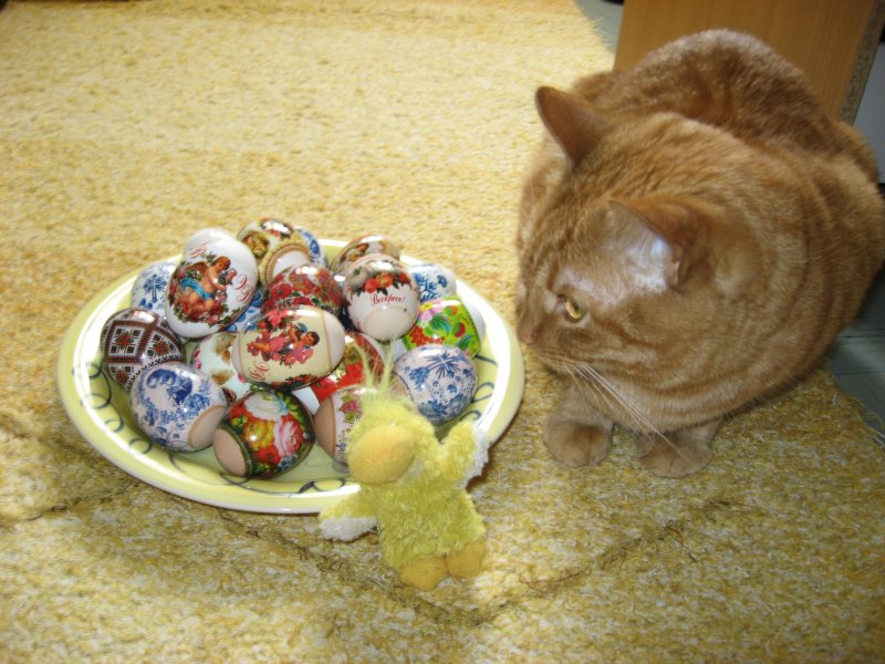 triina uploaded   8 year/s ago