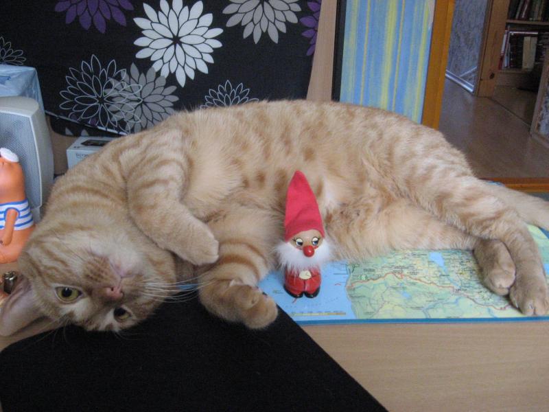 triina uploaded   9 year/s ago