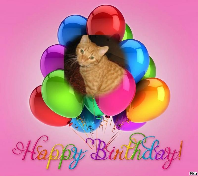 Nurr of the triina family