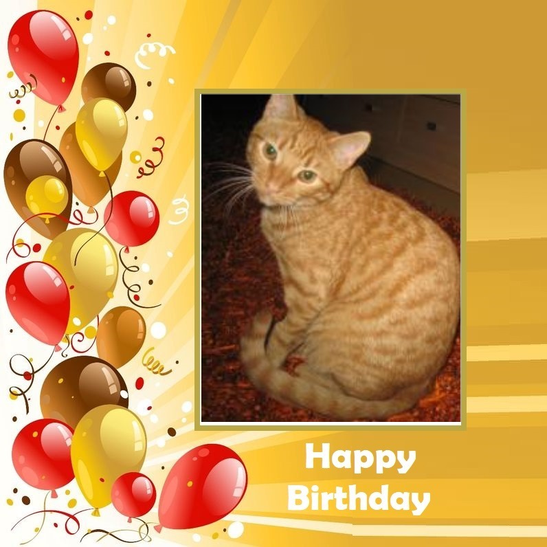 Nurr of the triina family