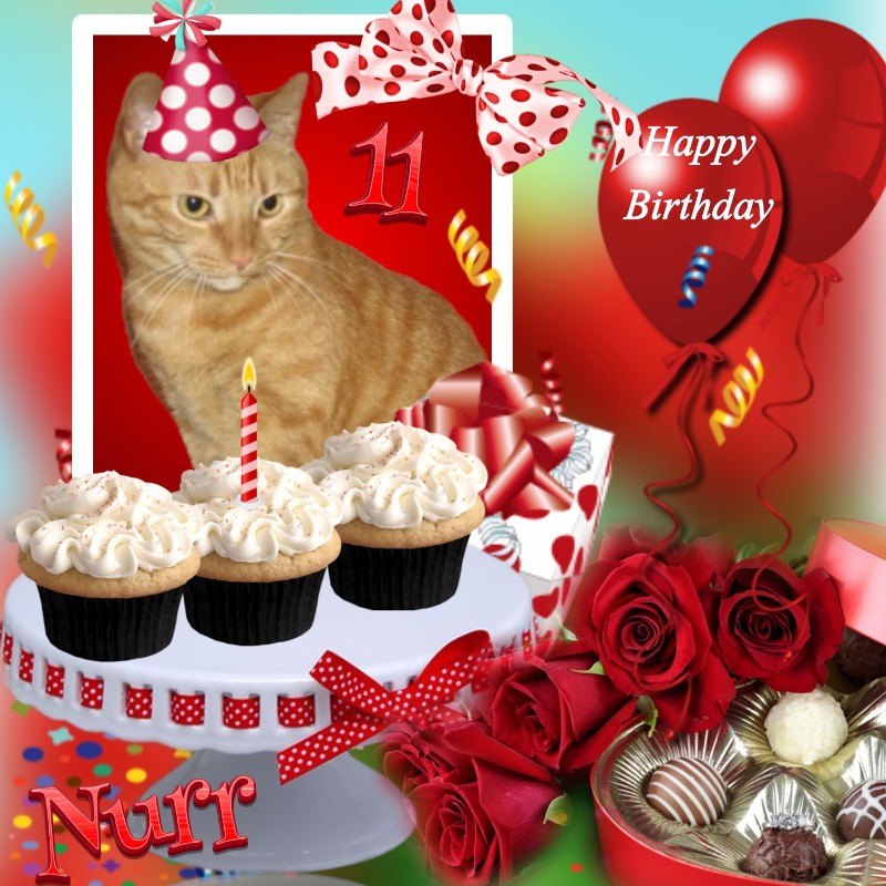 Nurr of the triina family