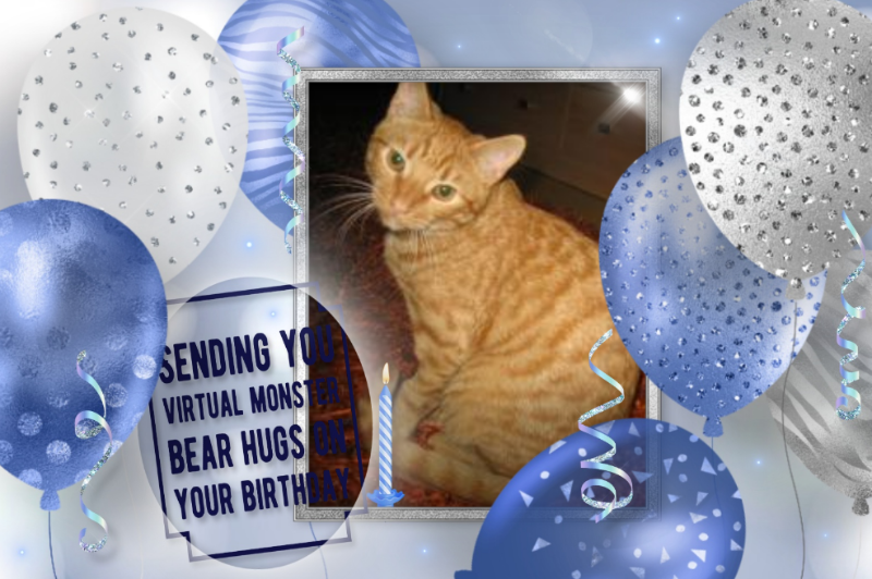 Nurr of the triina family