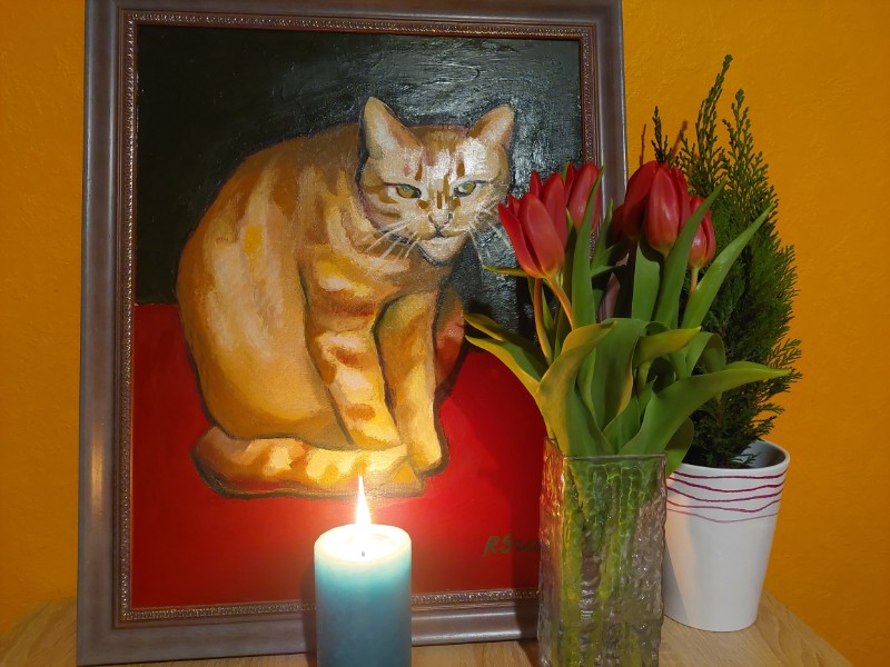 Nurr of the triina family