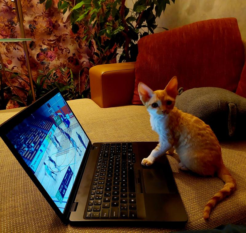 Jessy of the triina family