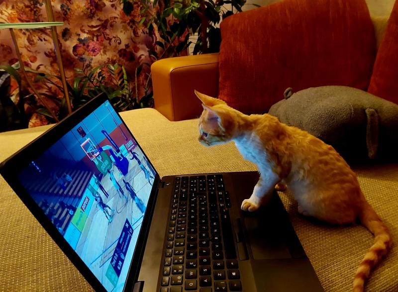 Jessy of the triina family