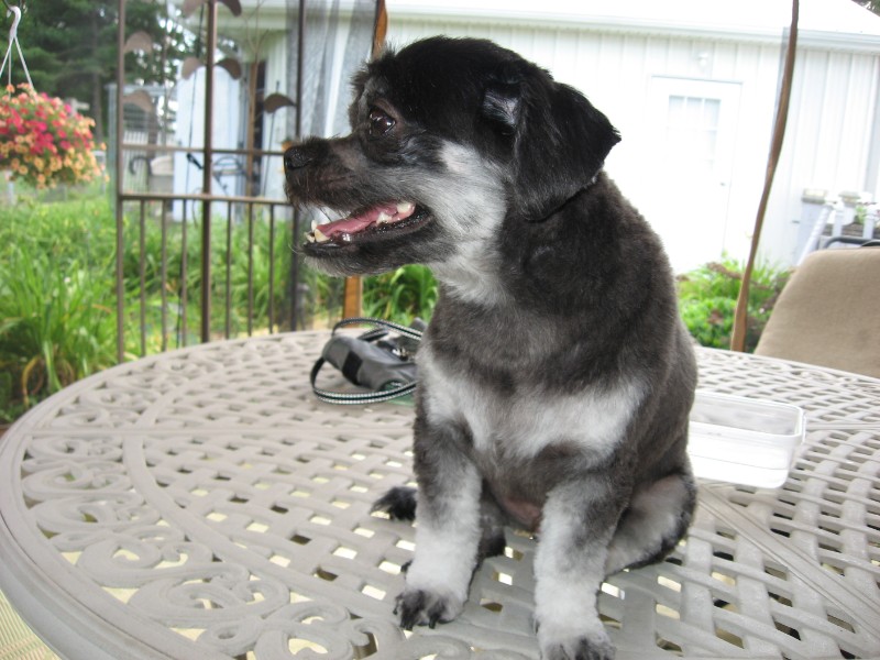 ups98 uploaded   5 year/s ago