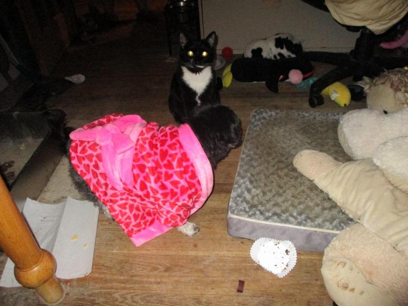 ups98 uploaded   1 year/s ago