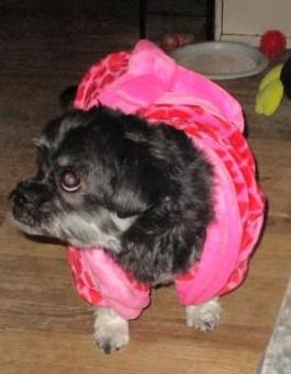 ups98 uploaded   1 year/s ago