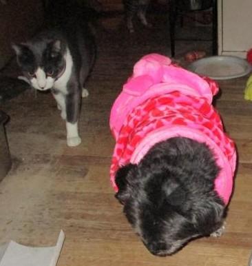 ups98 uploaded   1 year/s ago