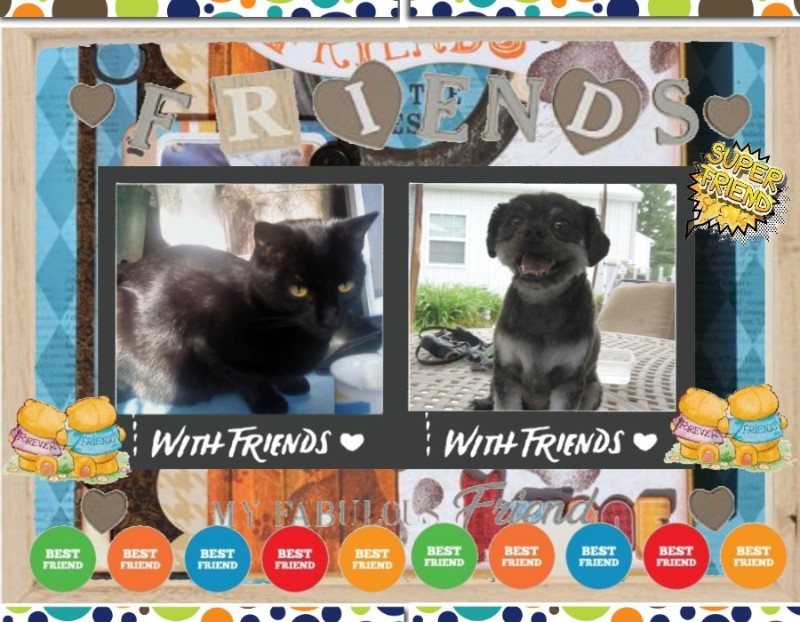 ups98 uploaded   31  day/s  ago