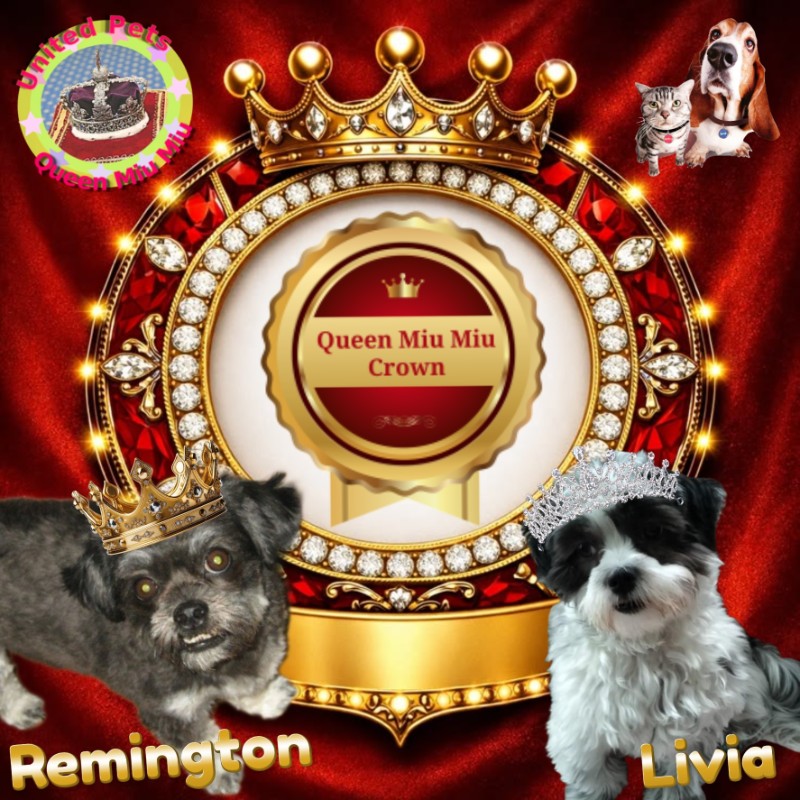 Remington of the ups98 family