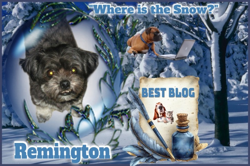 Remington of the ups98 family