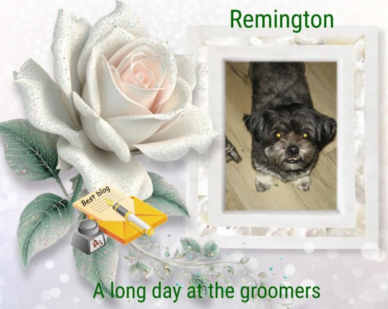 Remington of the ups98 family