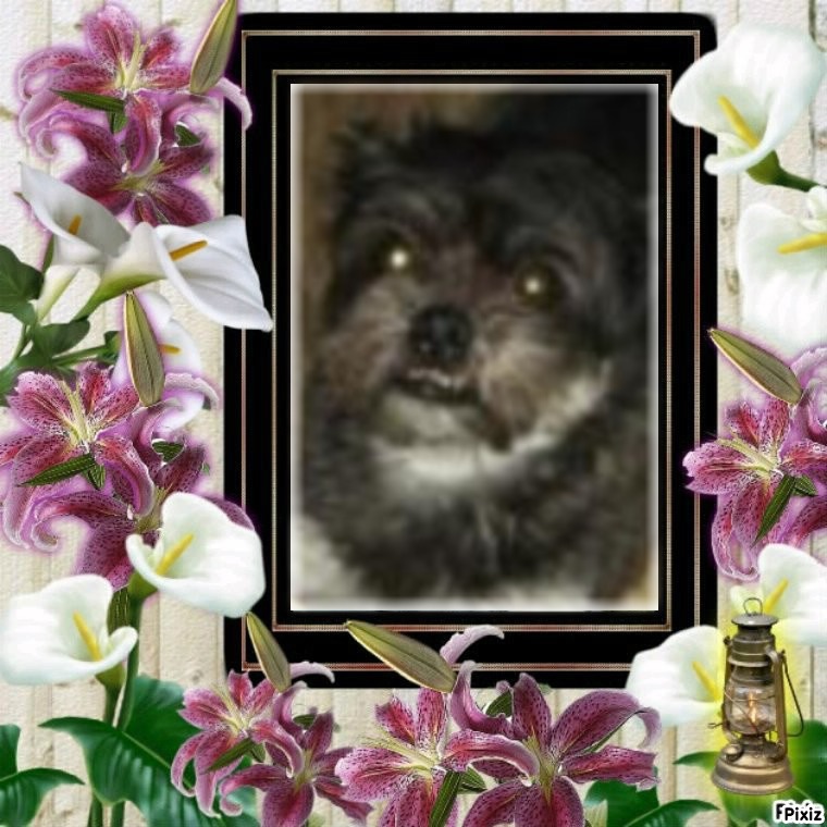 Remington of the ups98 family