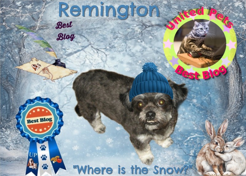 ups98 uploaded   52  day/s  ago