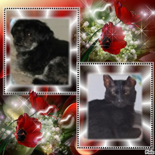 Remington of the ups98 family