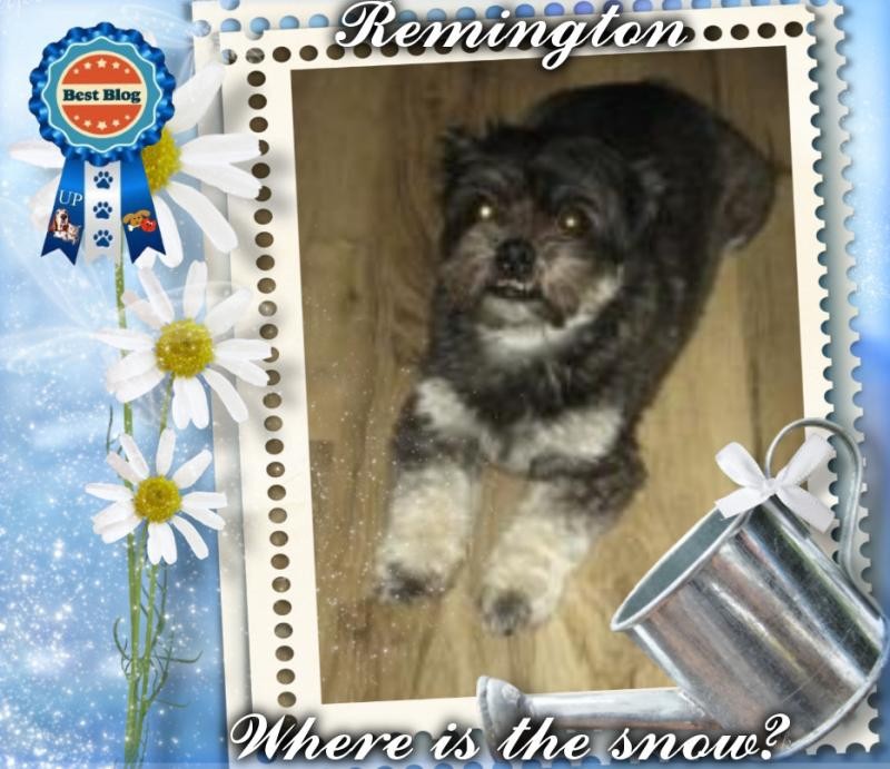 ups98 uploaded   54  day/s  ago