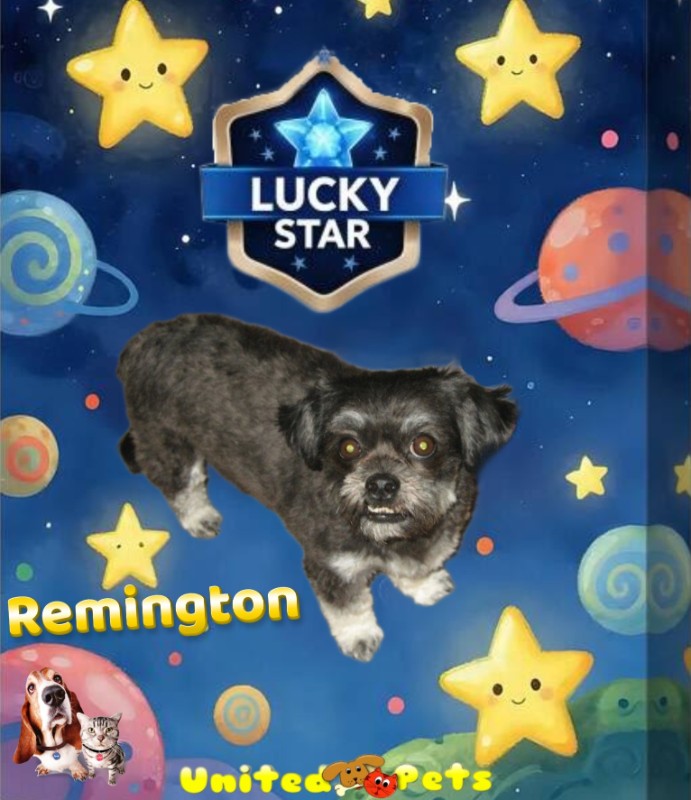Remington of the ups98 family