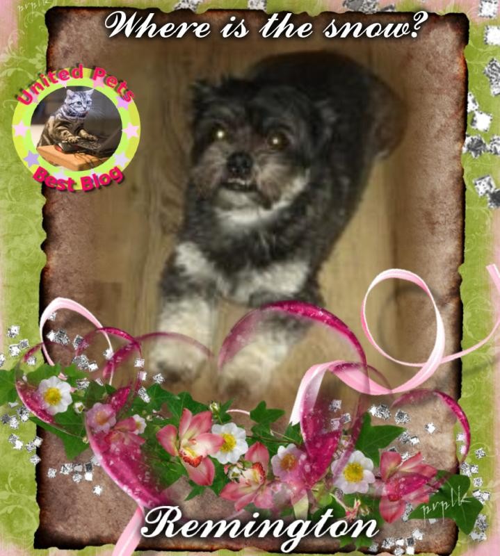 ups98 uploaded   52  day/s  ago