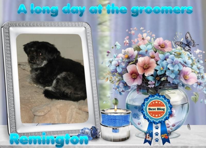 Remington of the ups98 family