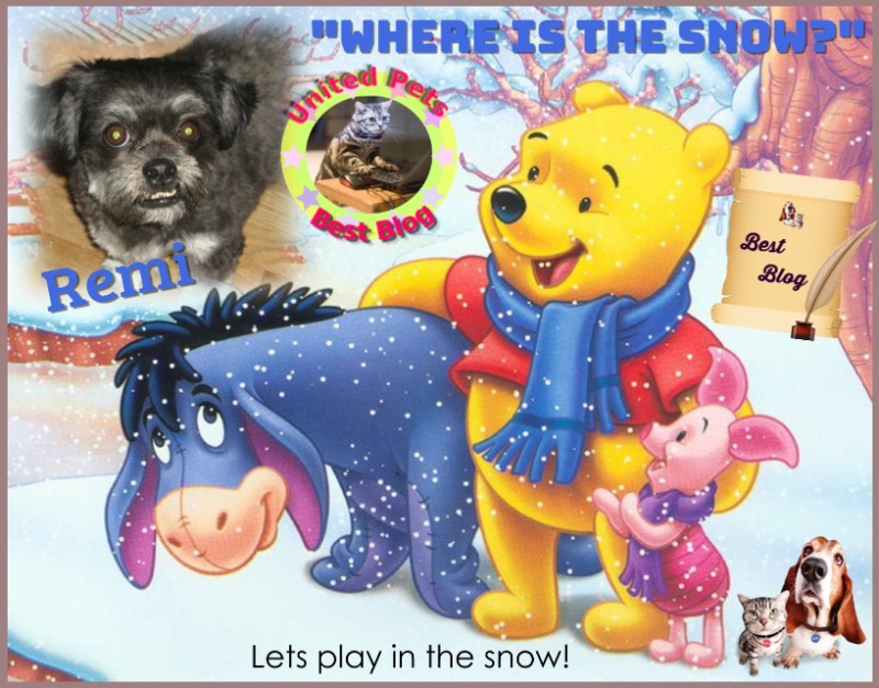 ups98 uploaded   54  day/s  ago