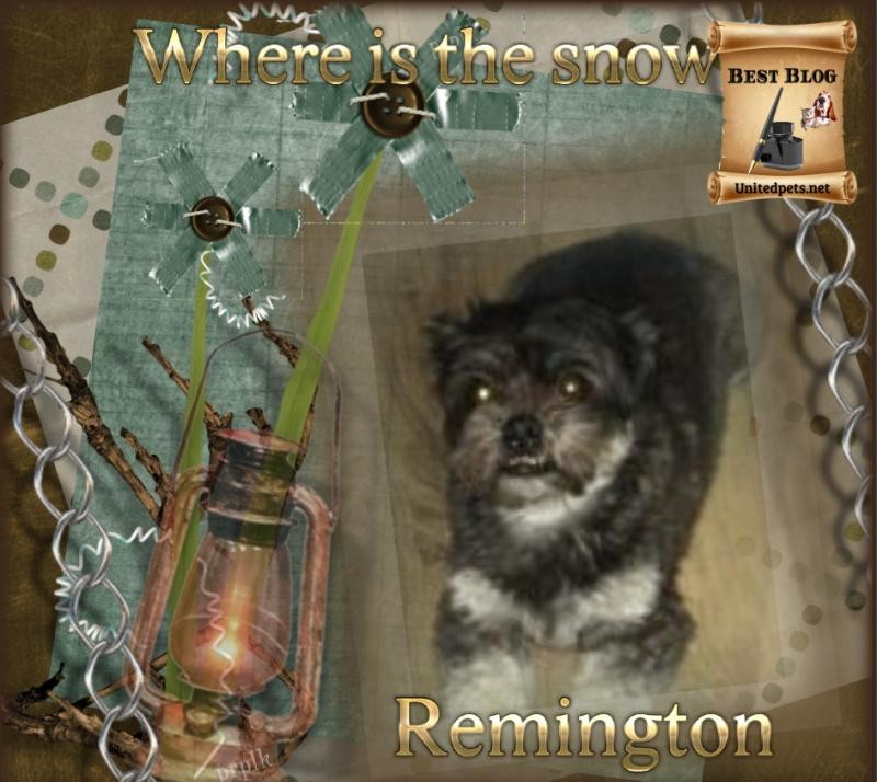 Remington of the ups98 family