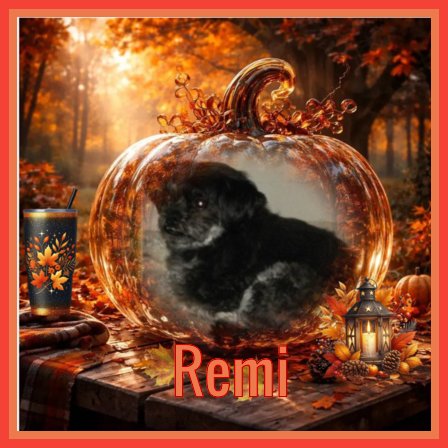 Remington of the ups98 family