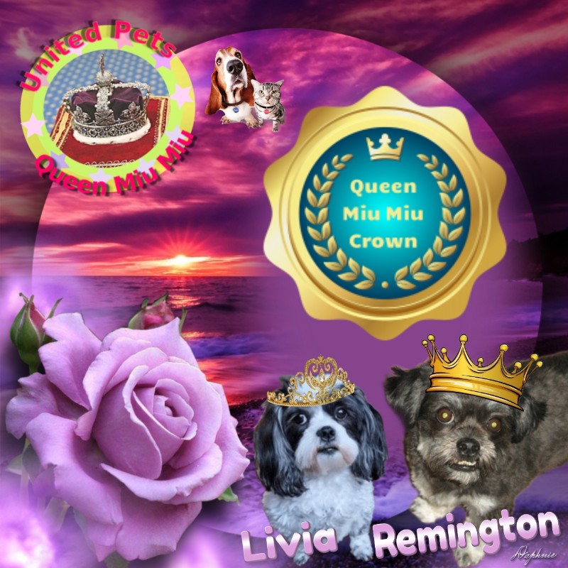Remington of the ups98 family