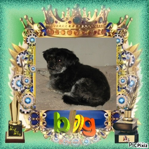 ups98 uploaded   54  day/s  ago