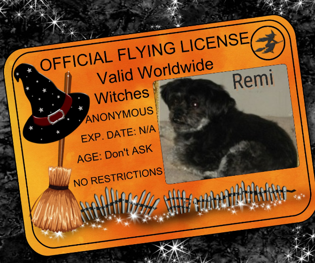 Remington of the ups98 family