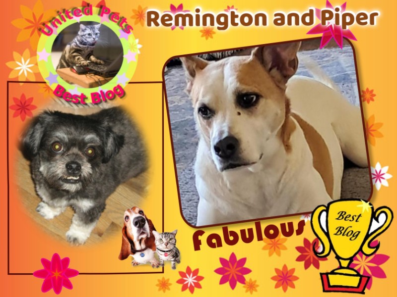 Remington of the ups98 family