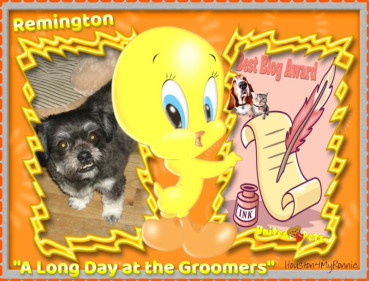 Remington of the ups98 family