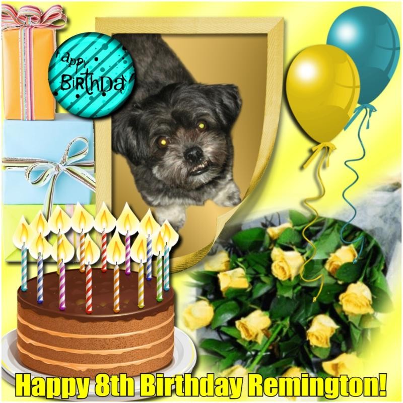 Remington of the ups98 family