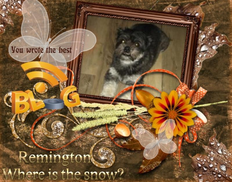 ups98 uploaded   53  day/s  ago