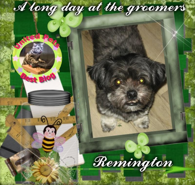 Remington of the ups98 family