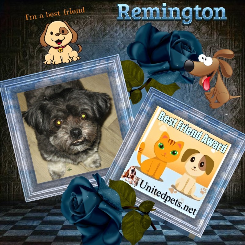 ups98 uploaded   31  day/s  ago