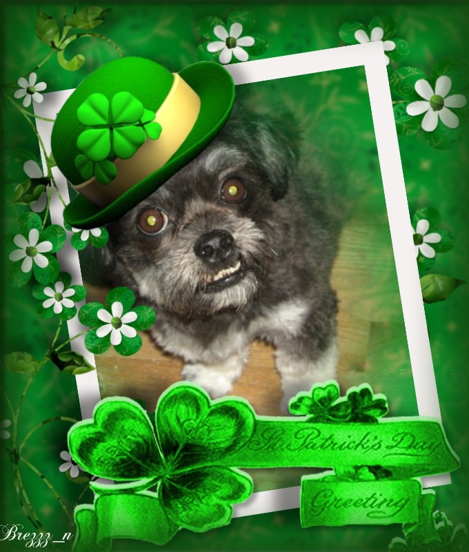 ups98 uploaded   31  day/s  ago