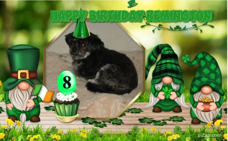 Remington of the ups98 family