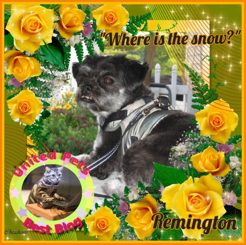 ups98 uploaded   52  day/s  ago