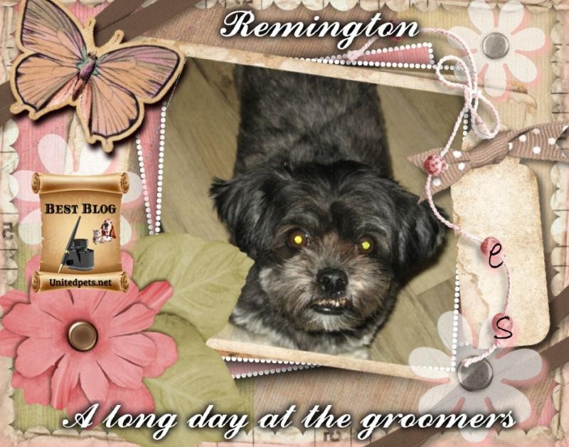 Remington of the ups98 family