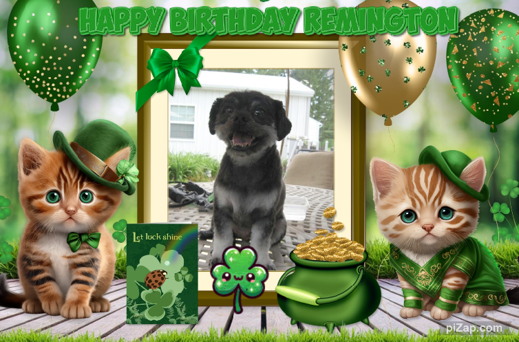 Remington of the ups98 family