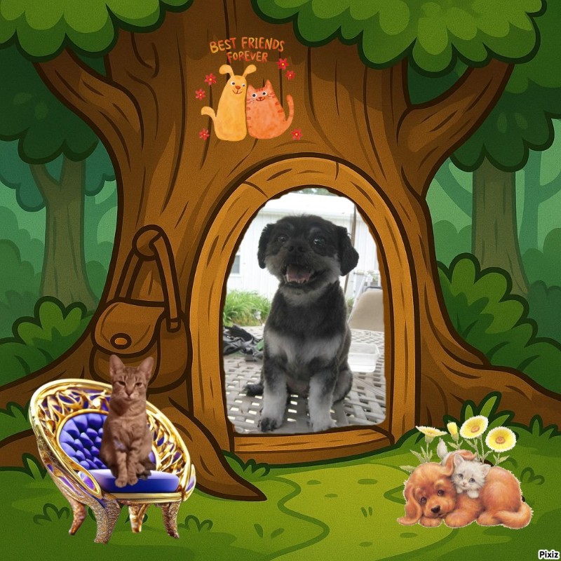 ups98 uploaded   53  day/s  ago